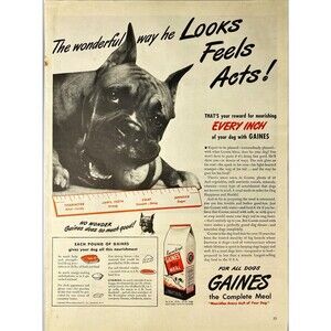 Gaines Dog Meal "For all Dogs Every Inch with Gaines" Boxer Vintage Print Ad '45